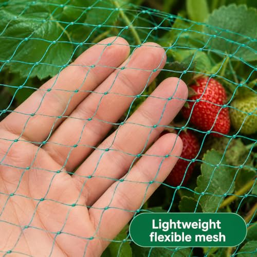 Green Garden Netting for Veg Patch: image 5